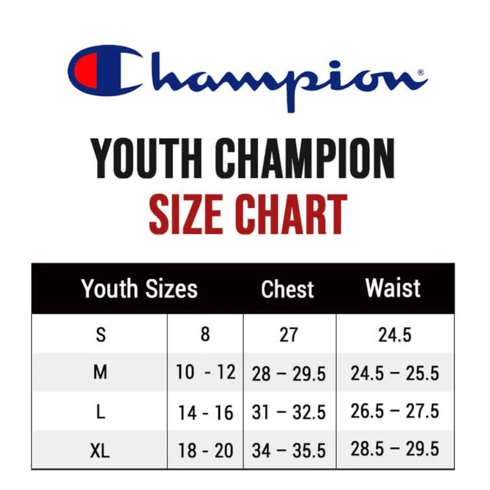 Champion Girls XL Hoodie Lightweight Long Sleeve Top – Light Blue with Pink Logo